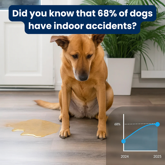 CalmiPaws® - Dog Diffuser