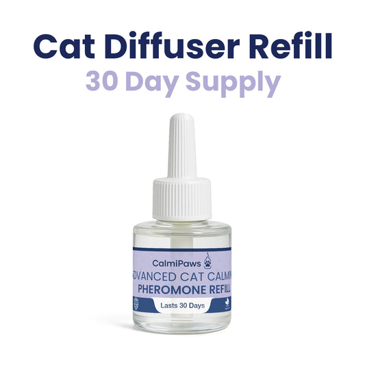 Cat Diffuser Refills