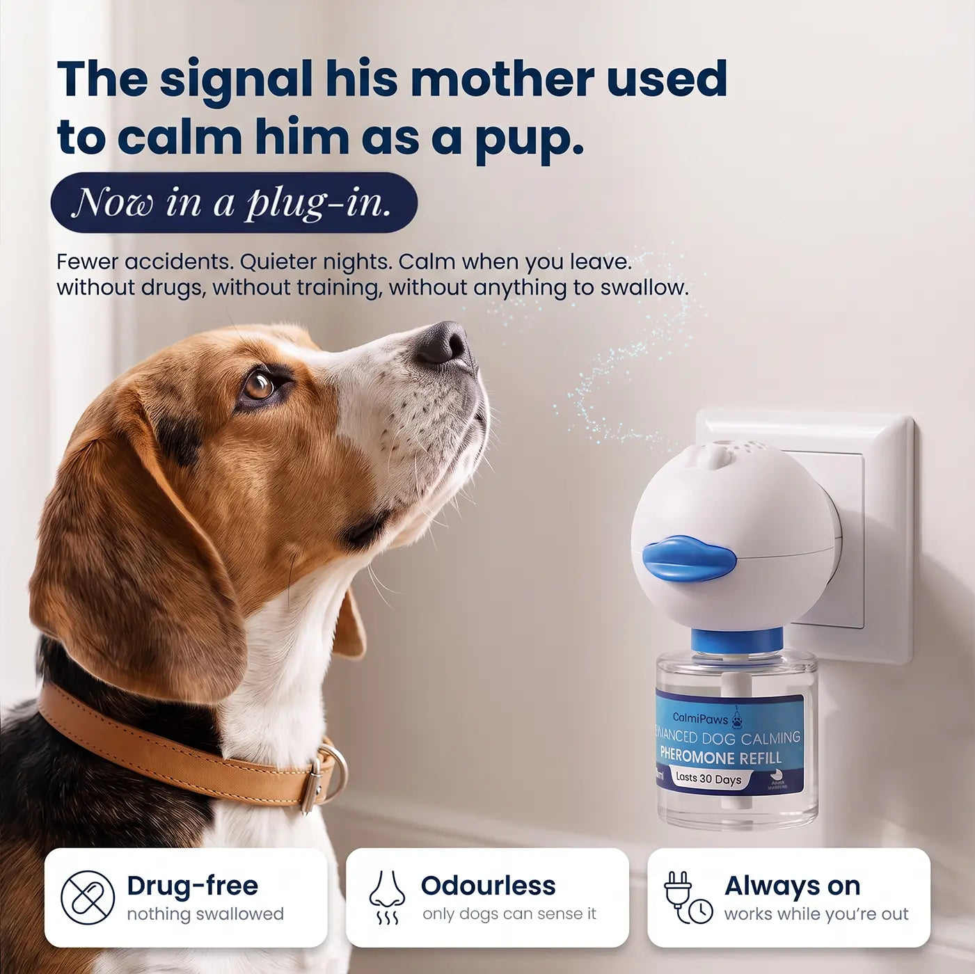 CalmiPaws® Calming Diffuser for Dogs