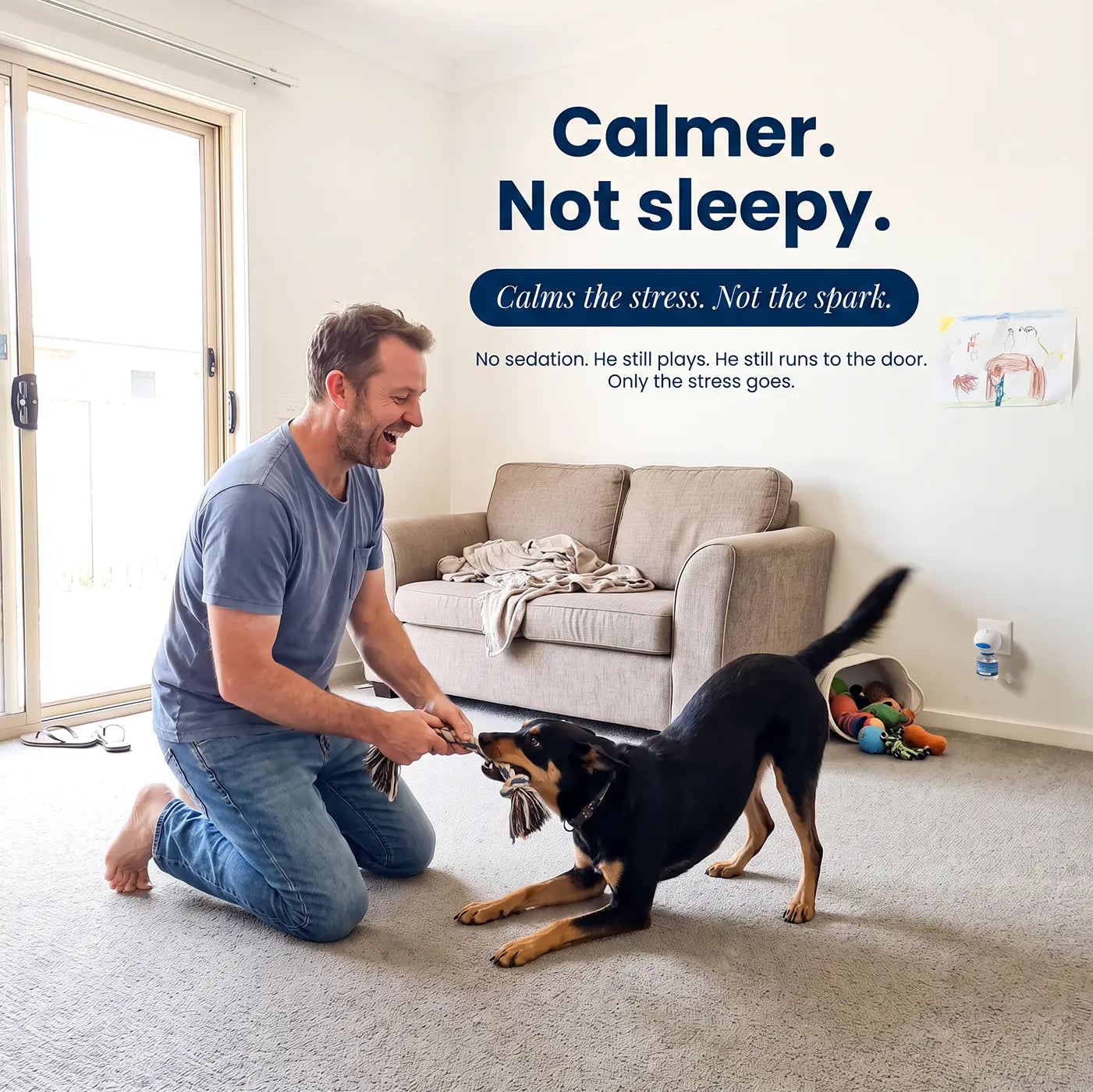 CalmiPaws® Calming Diffuser for Dogs